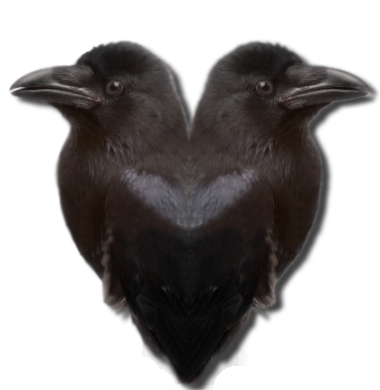 RavensHeart copy